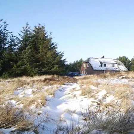 Blavand Holiday home *